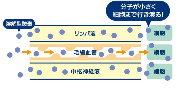 小学生無料 ※保護者同伴必須